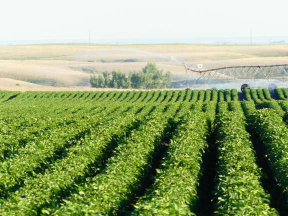 Independent Crop Inputs