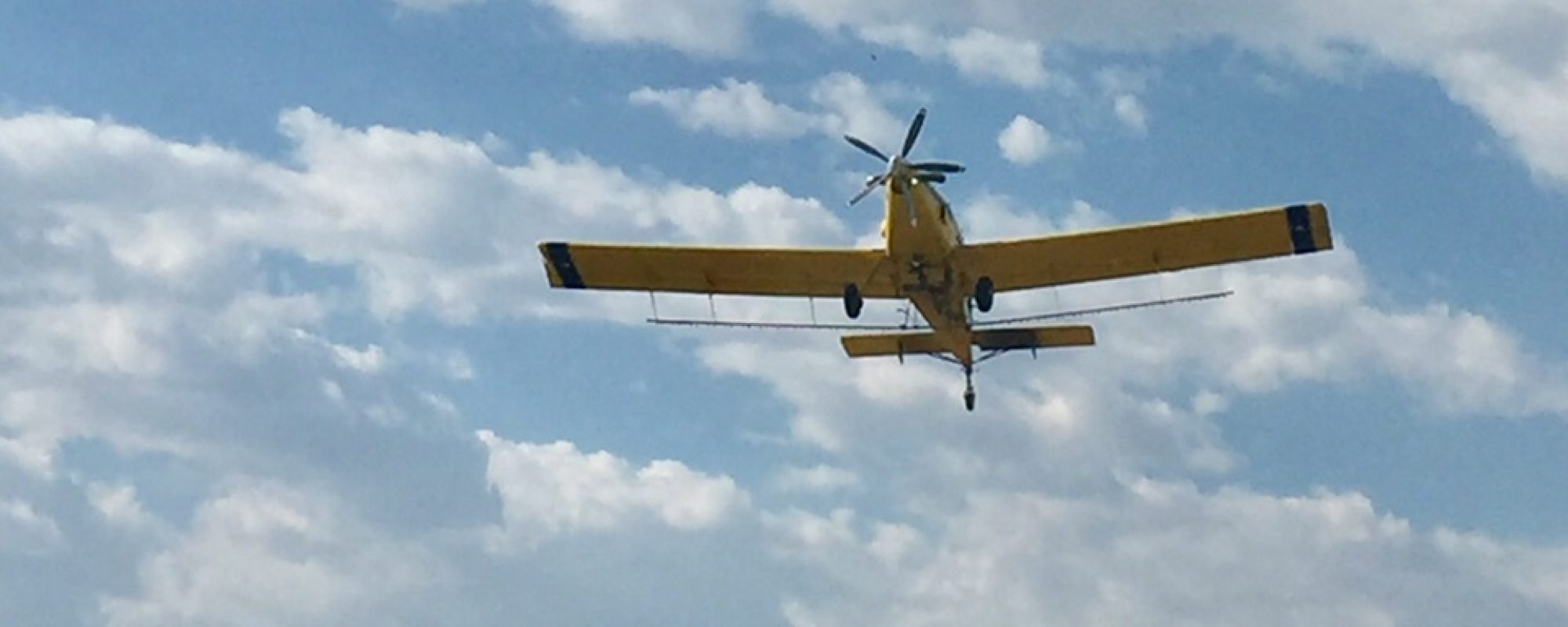 Our Partners & Suppliers