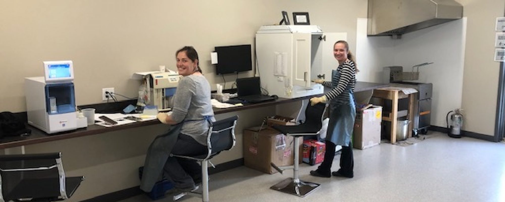 Tissue Testing | Independent Crop Inputs