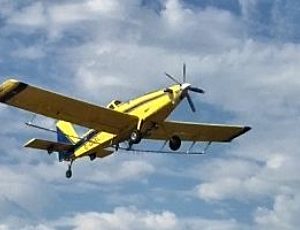 Crop Protection