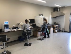 Lab Services