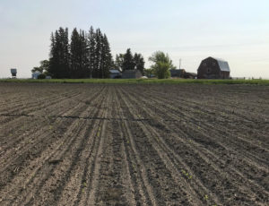 Agronomy