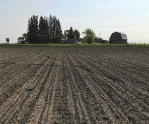 Agronomy