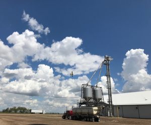What Our Customers Say