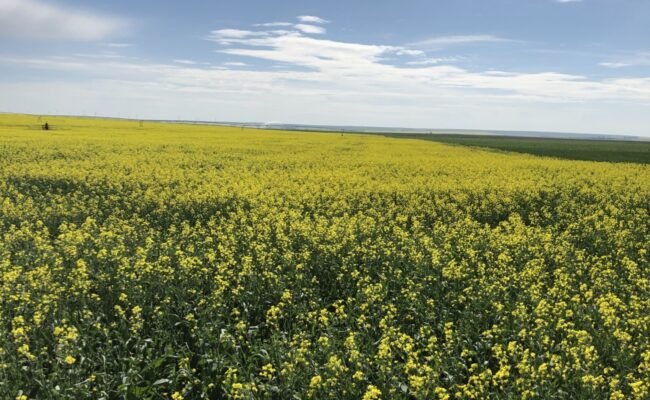 58446859010 AC81 B9 CD CE58 4353 95 AE 9 EC04 E94 A4 D6