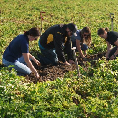 Agronomy & Services