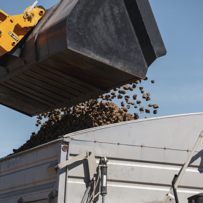 Seed & Inoculant