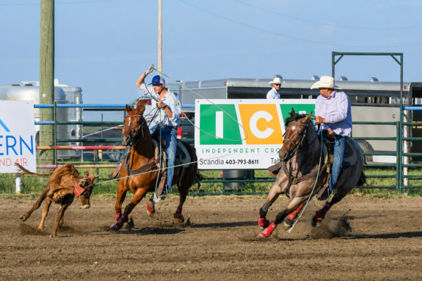 2026 Stars Rodeo